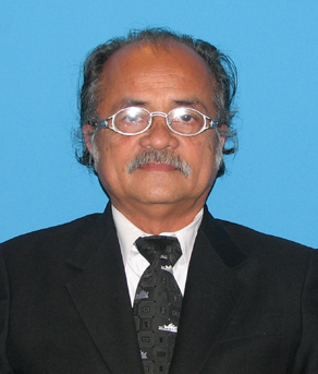 ���ʧǹ �������